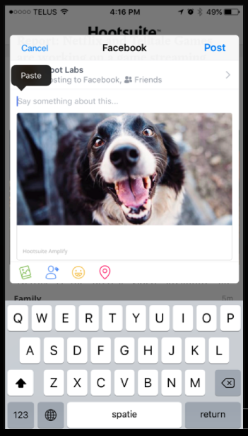 amplifyworkflow.png#asset:89182